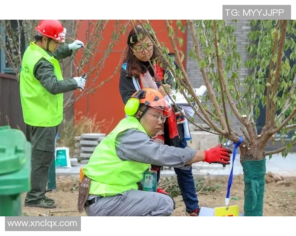 北京足球队的比赛经验分享与成长之路探讨 北京足球队的比赛经验分享与成长之路探讨